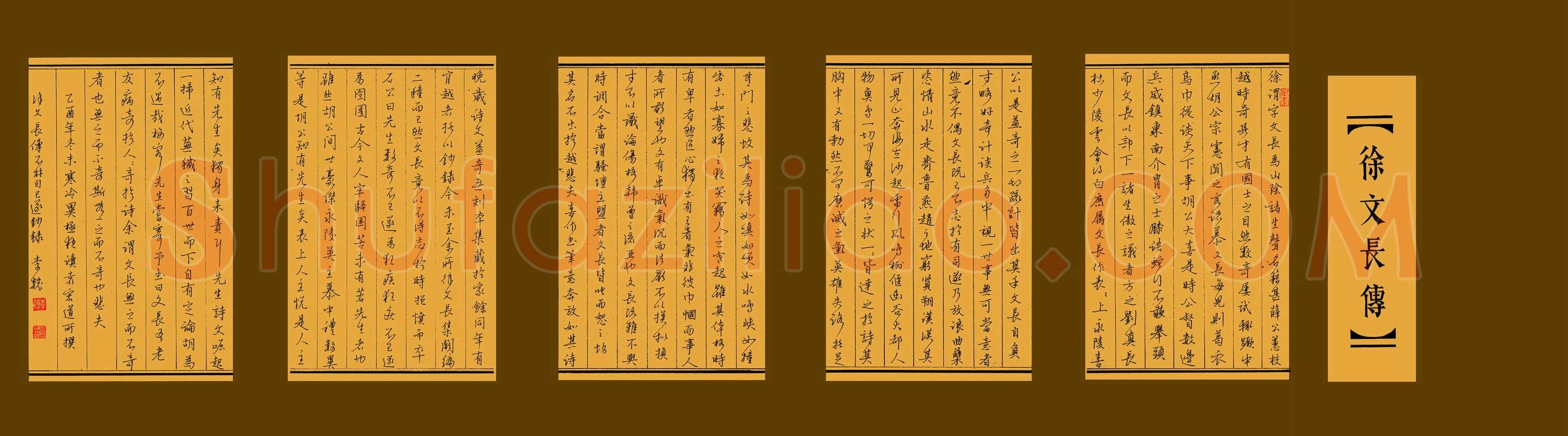 李巍硬笔行书徐文长传,李巍硬笔书法作品
