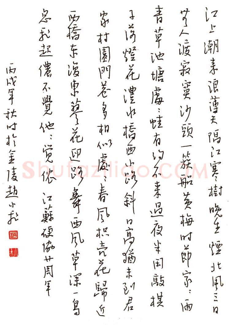 赵小飞硬笔行书刘子翚诗江上,硬笔书法作品
