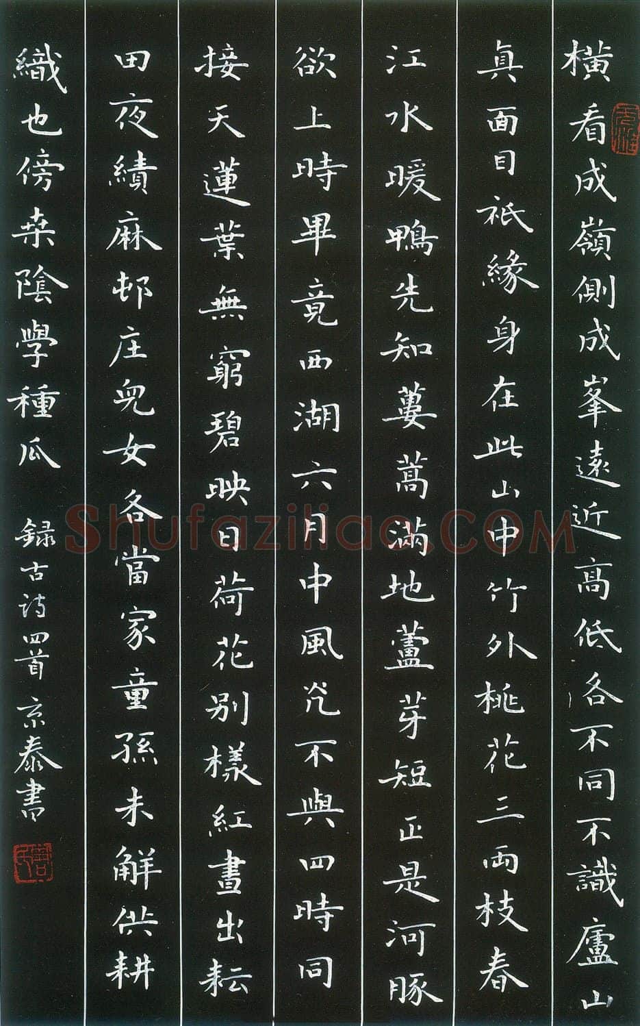 周京泰硬笔楷书吴文英词高阳台 硬笔书法作品欣赏