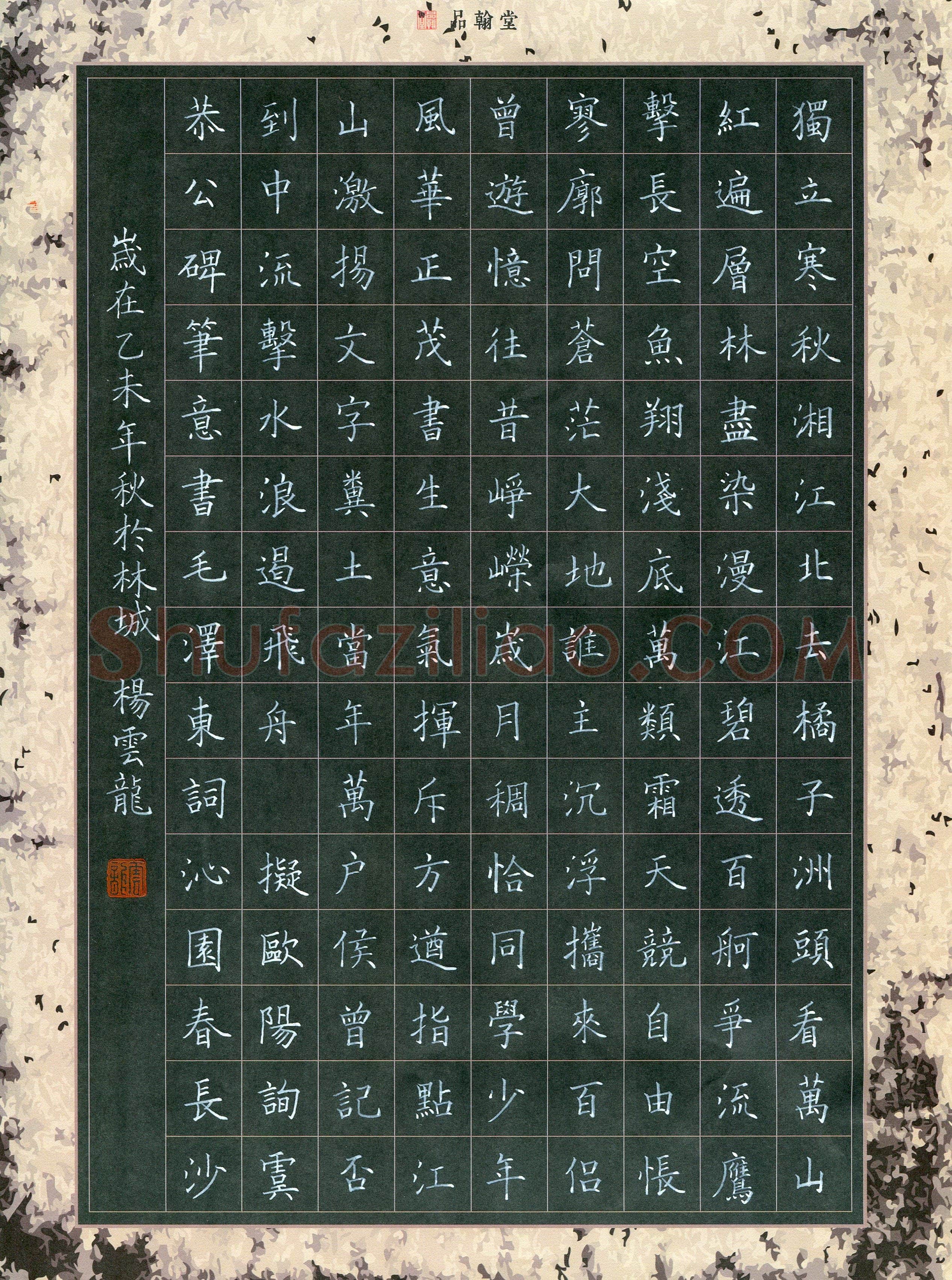 杨云龙(成人组 优秀奖)硬笔书法大赛获奖作品,杨云龙硬笔书法作品