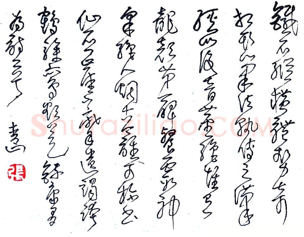 张青山硬笔录康有为诗二首 硬笔书法作品欣赏