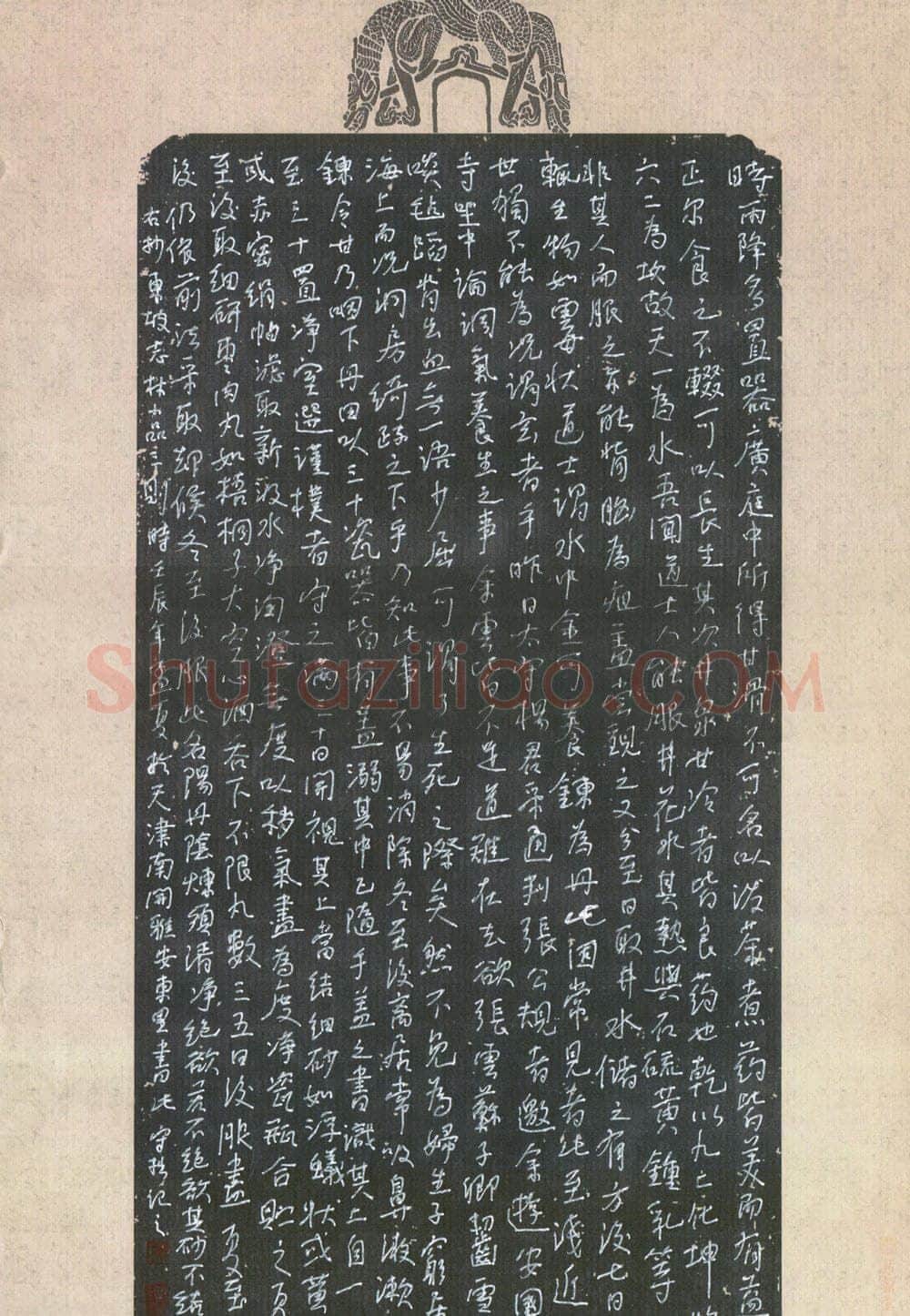 严敏灵硬笔行书东坡志林小品三则,严敏灵硬笔书法作品