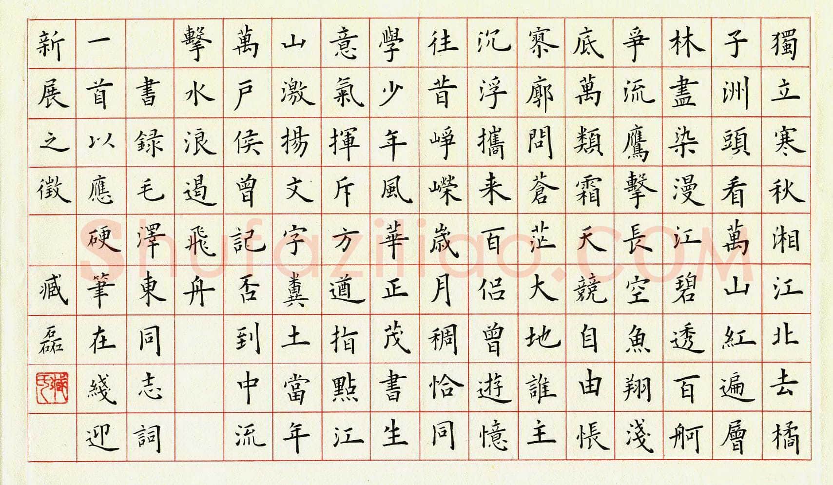 臧磊硬笔楷书毛泽东词一首,臧磊硬笔书法作品