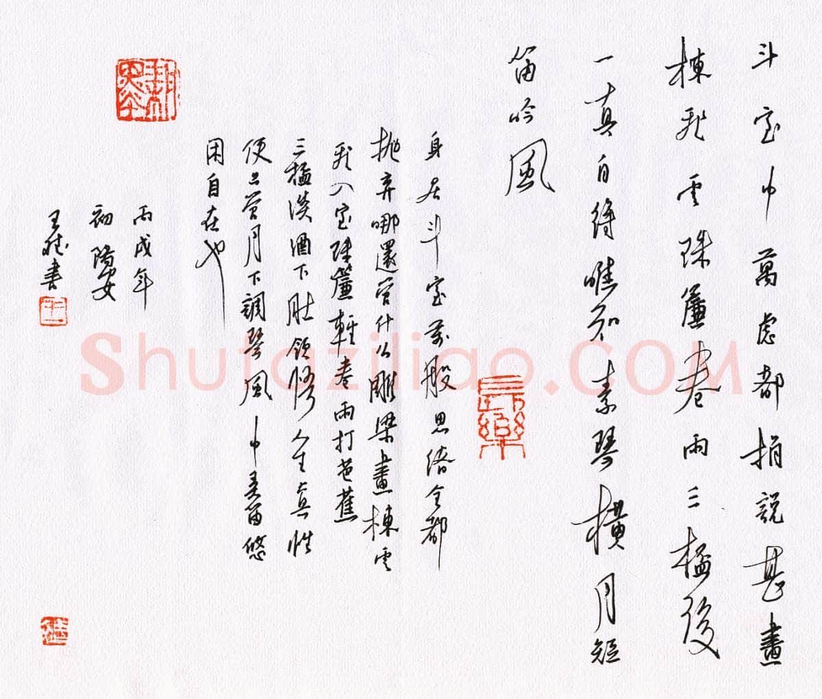 王斌硬笔行书,王斌硬笔书法作品