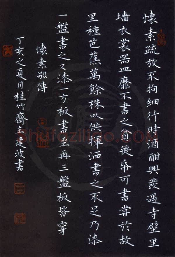贺建波硬笔楷书怀素别传,贺建波硬笔书法作品