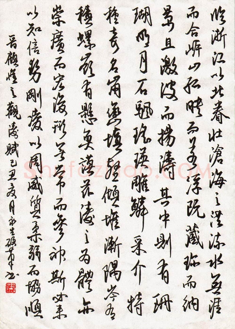 陈永生硬笔行书顾恺之观涛赋,陈永生硬笔书法作品