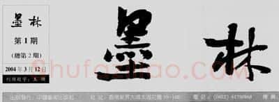中国书坛的民间小报（杨中良）硬笔书法文献