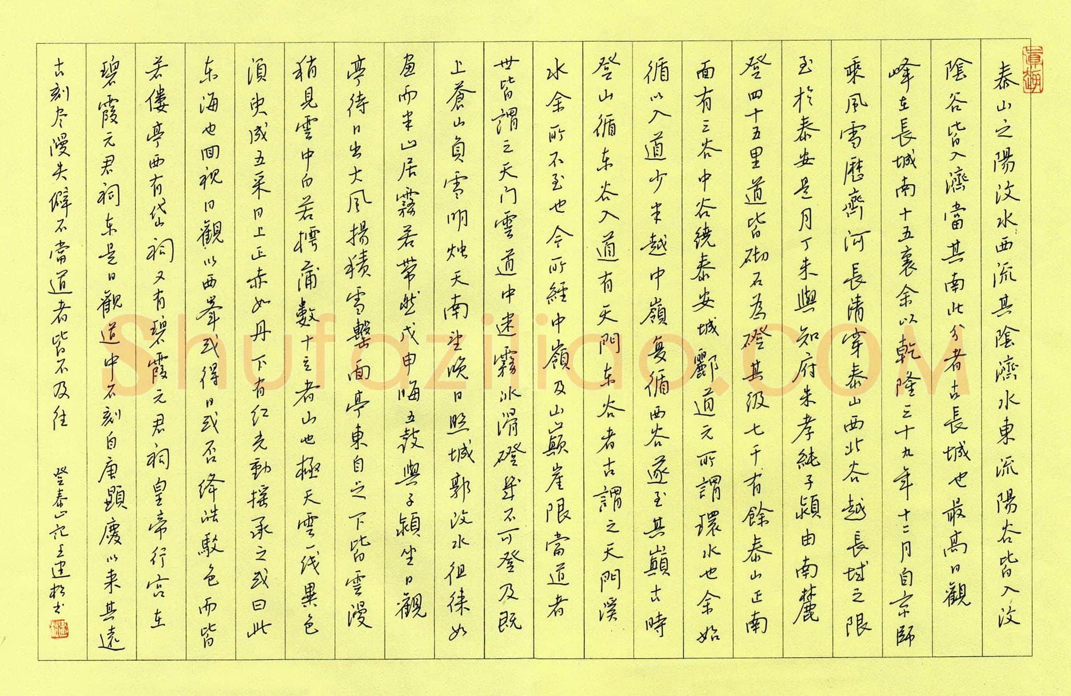 王建松硬笔行书登泰山记,王建松硬笔书法作品