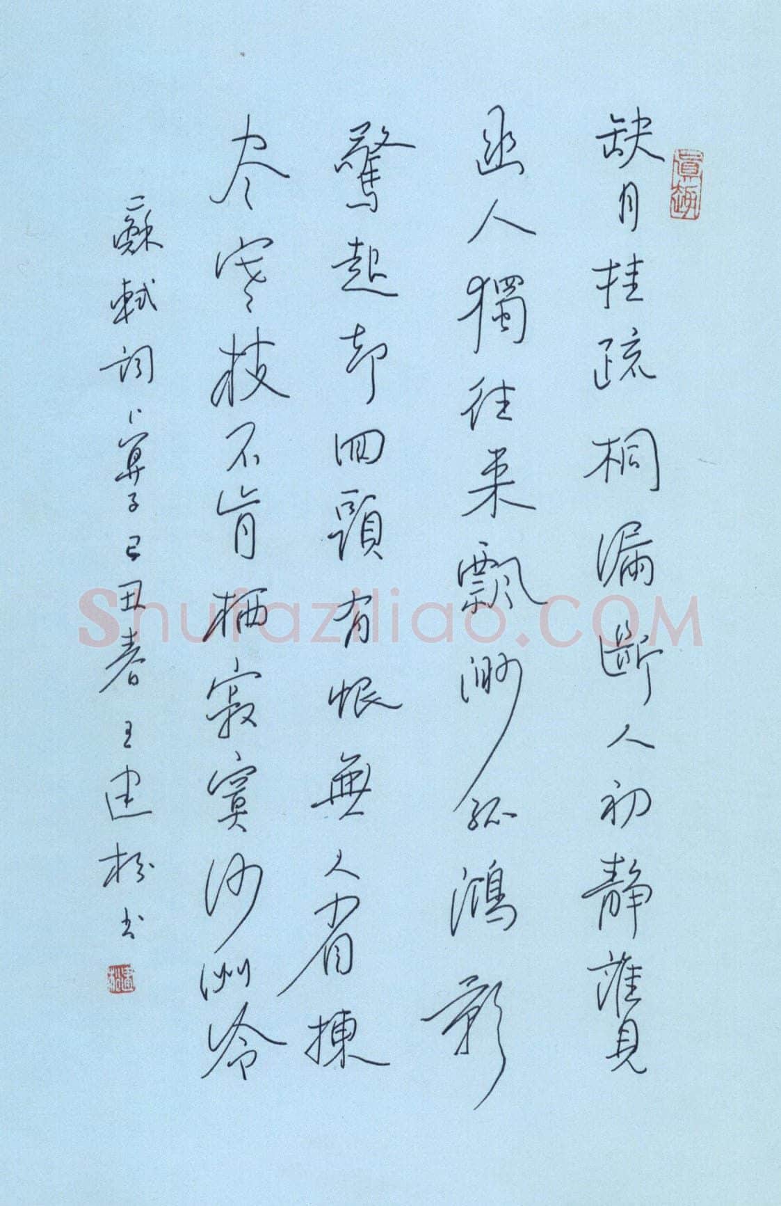 王建松硬笔行书苏轼词卜算子,王建松硬笔书法作品