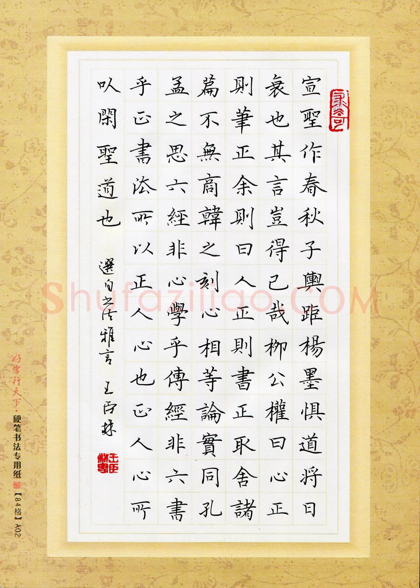 王臣林(成人组 优秀奖)硬笔书法大赛获奖作品,王臣林硬笔书法作品