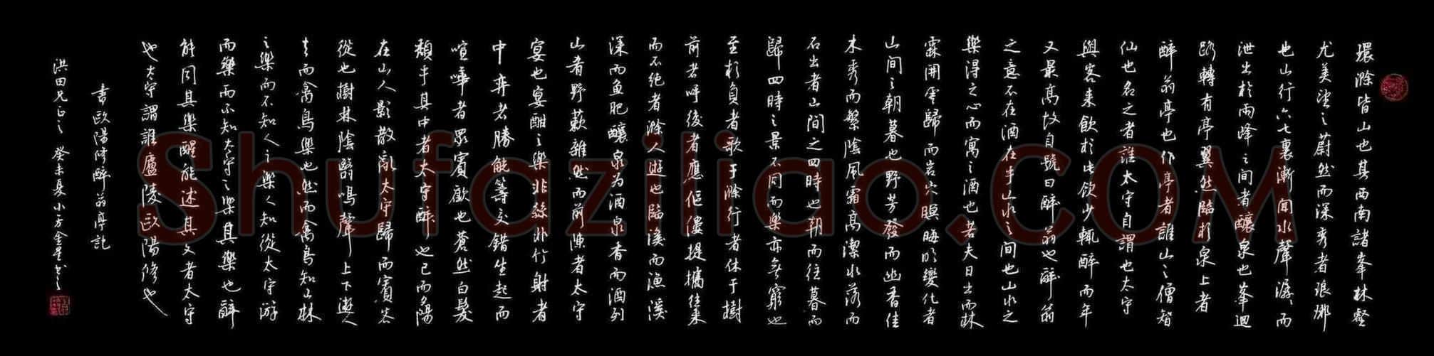 蔡金星硬笔行书欧阳修醉翁亭记,蔡金星硬笔书法作品