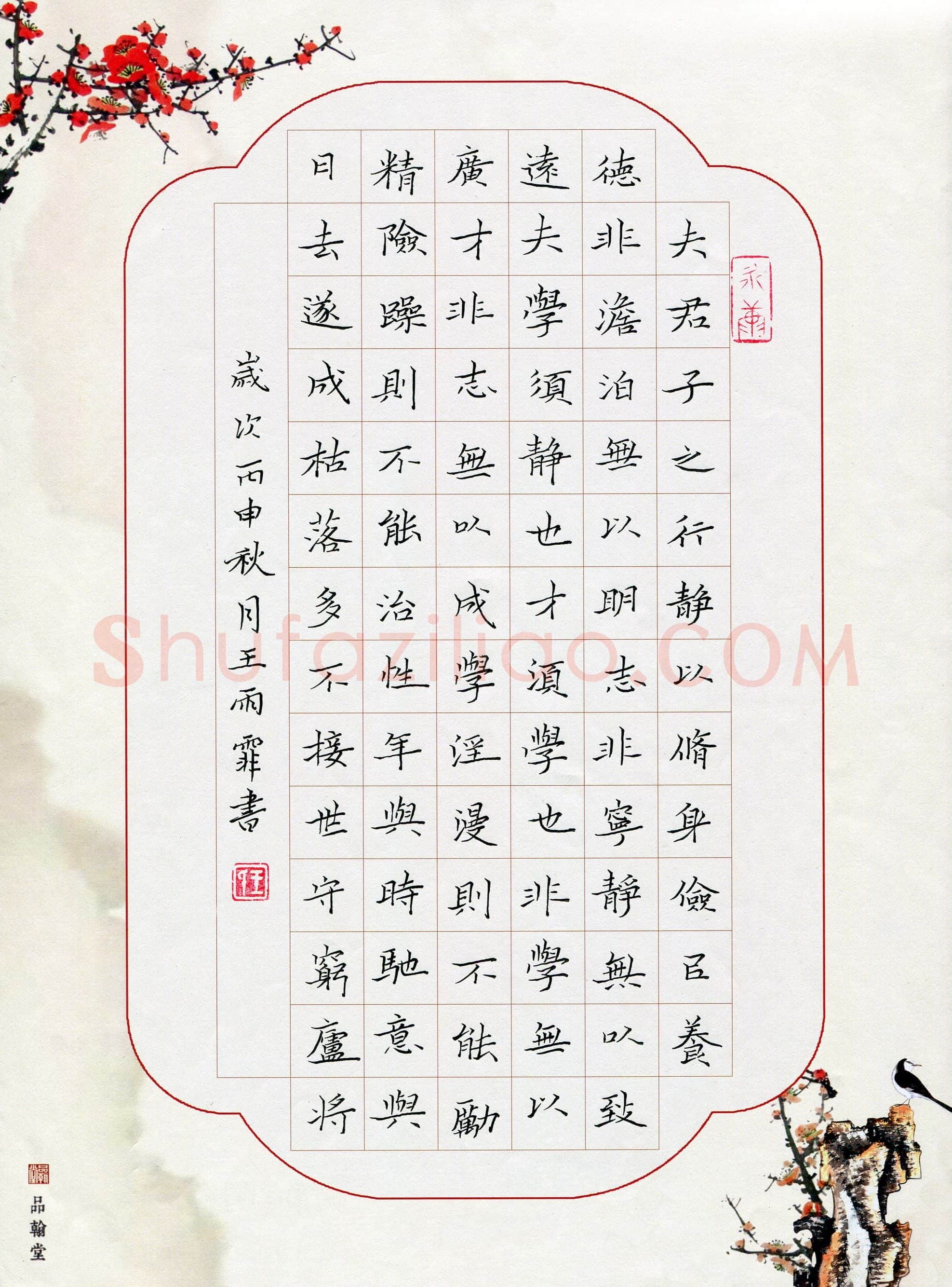 王雨霏(少儿组 13岁)硬笔书法大赛入围作品选登,王雨霏硬笔书法作品