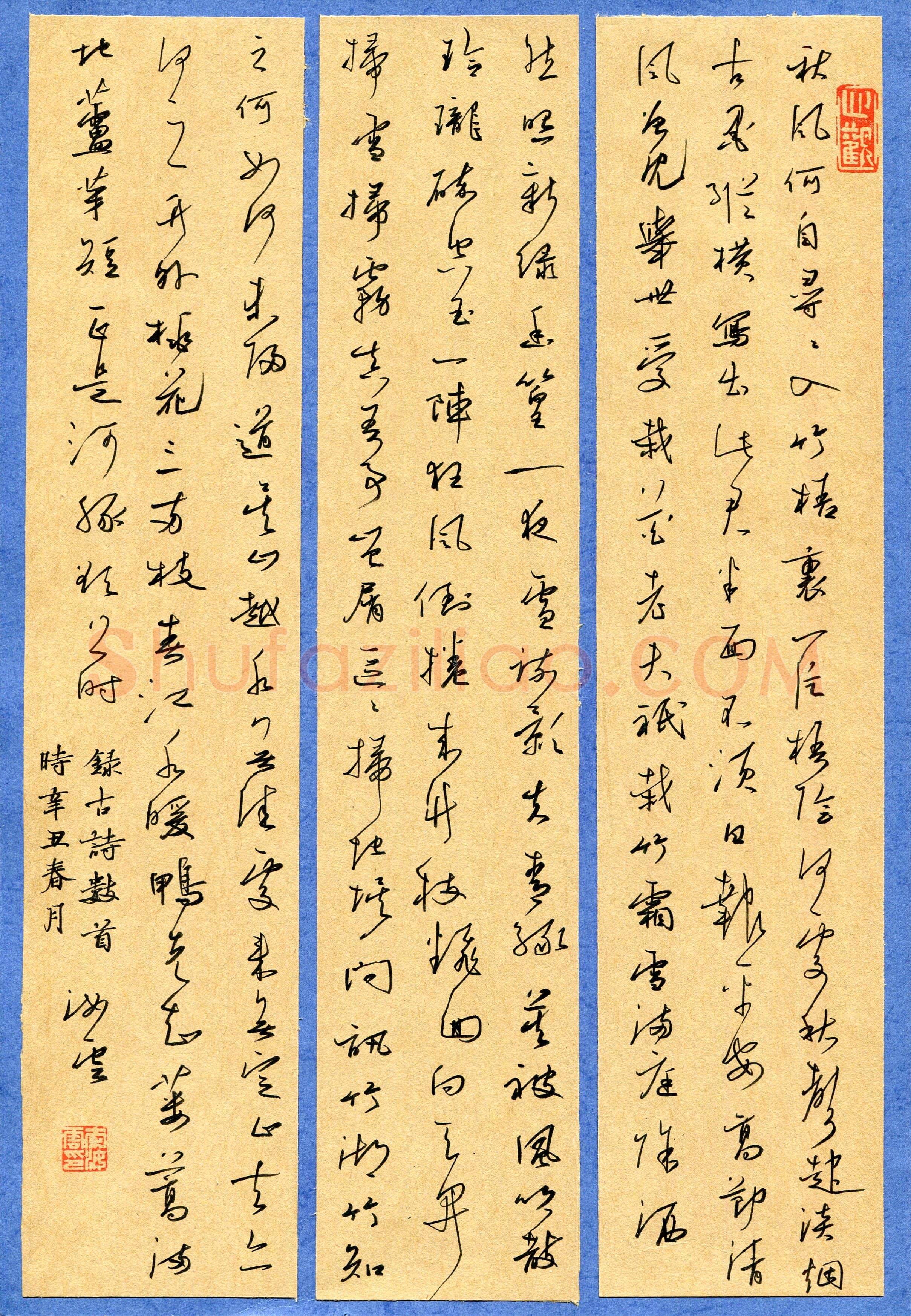 秦汝云(成人组 草书 优秀奖)硬笔书法大赛获奖作品,秦汝云硬笔书法作品