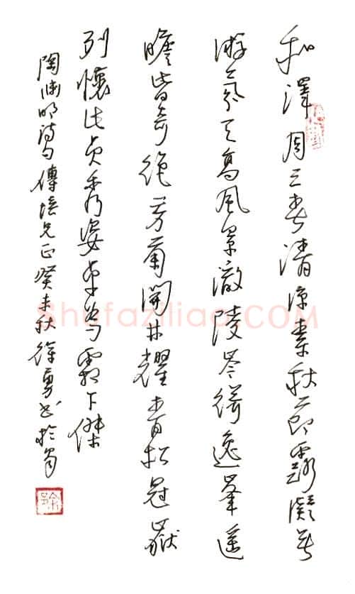徐勇钢笔行书陶渊明诗,徐勇硬笔书法作品