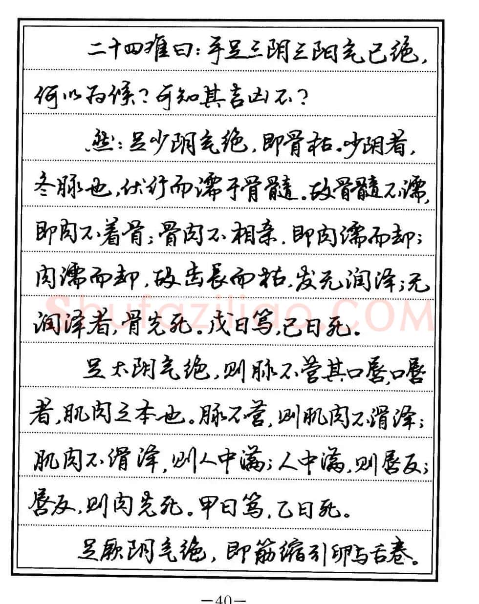 苏德生书法《中医经典钢笔字帖难经》 | 硬笔书法字帖