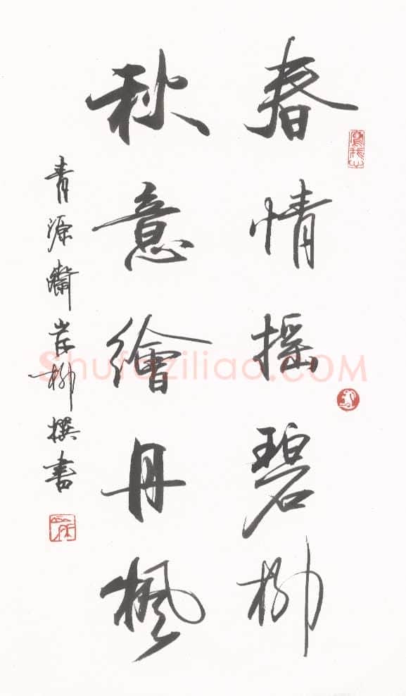 岸柳硬笔行书春情秋意联,岸柳硬笔书法作品