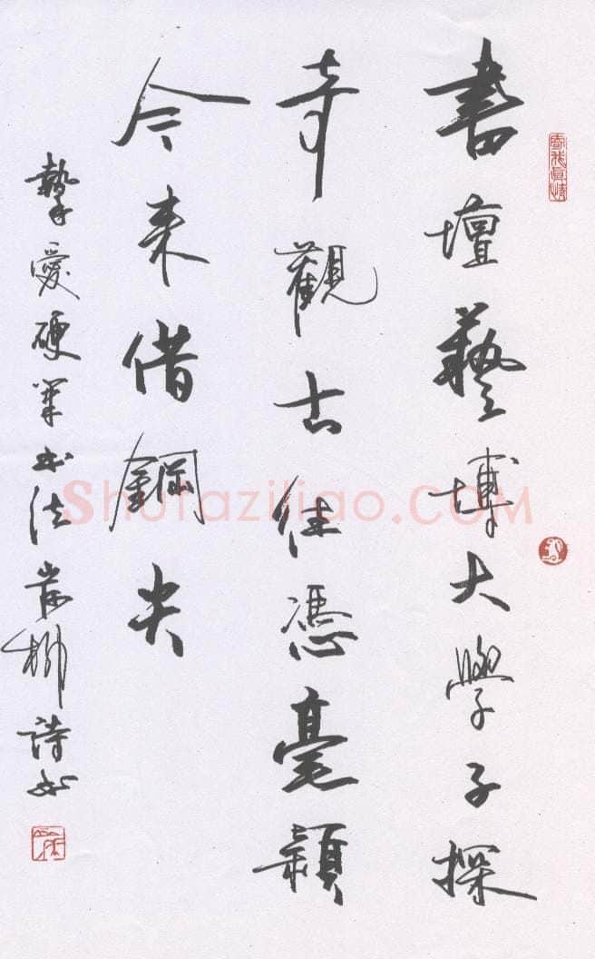 岸柳硬笔行书自作诗,岸柳硬笔书法作品