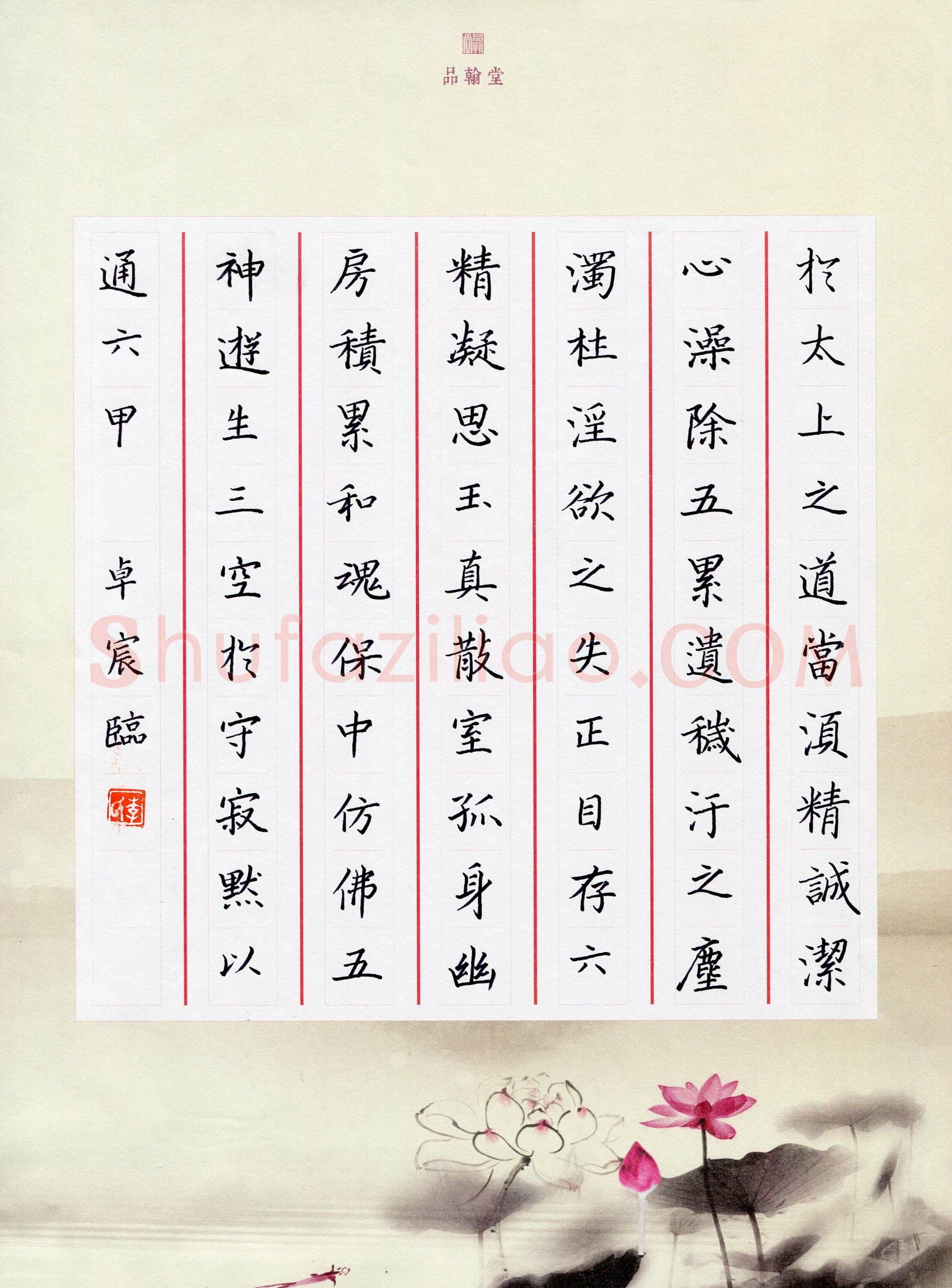 李卓宸(少儿组 11岁)硬笔书法大赛入围作品选登,李卓宸硬笔书法作品