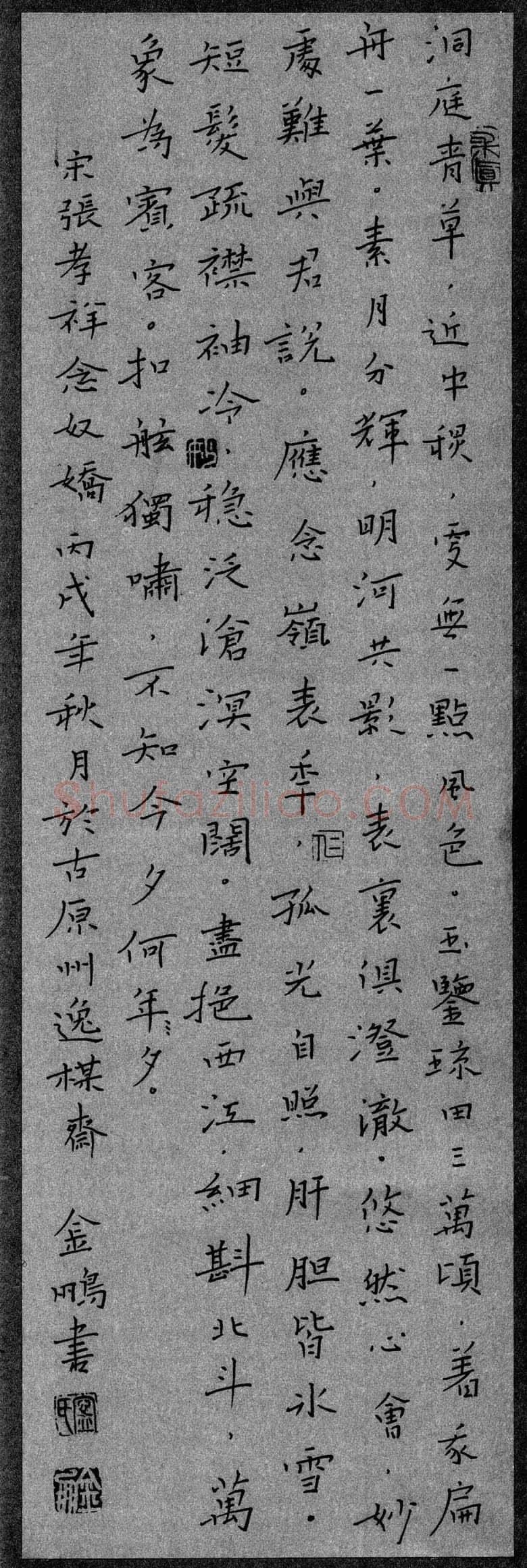 宁金鹏硬笔楷书张孝祥念奴娇,宁金鹏硬笔书法作品