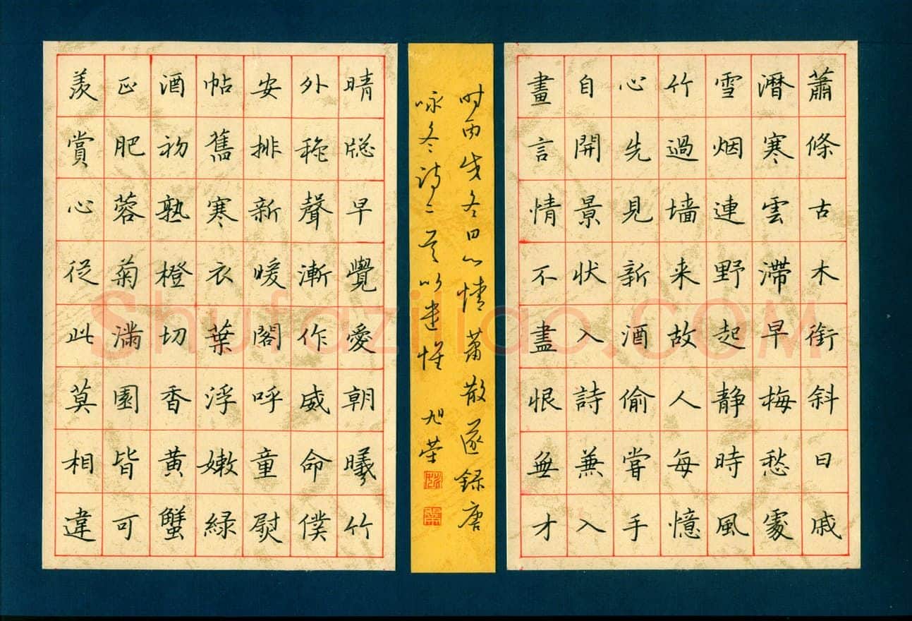 姚旭荣硬笔楷书唐咏冬诗二首,姚旭荣硬笔书法作品