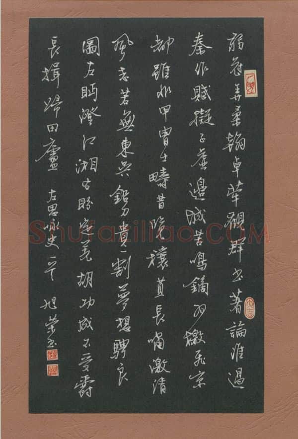 姚旭荣硬笔行书左思咏史一首,姚旭荣硬笔书法作品
