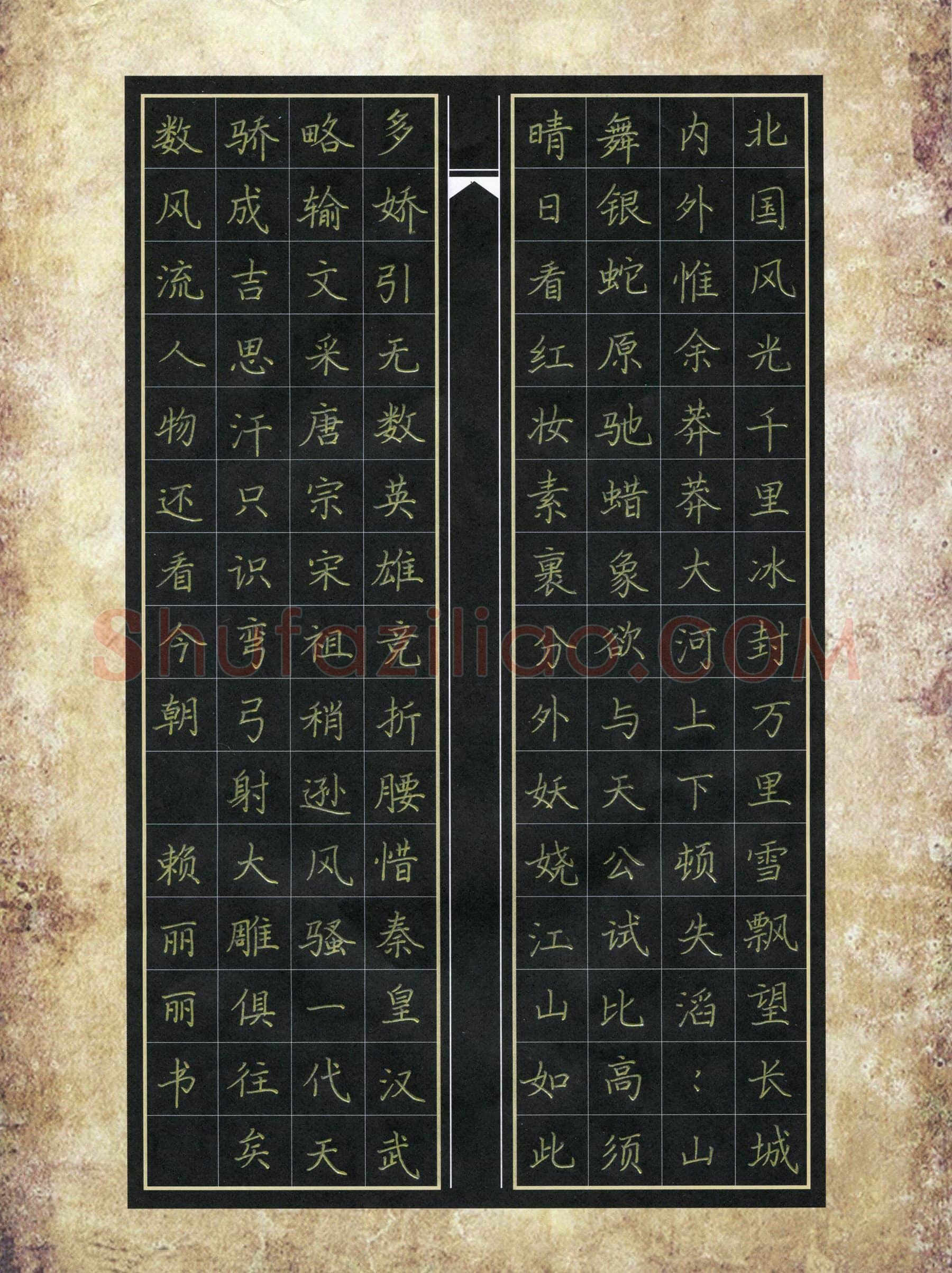 赖丽丽硬笔楷书毛泽东词一首,赖丽丽硬笔书法作品