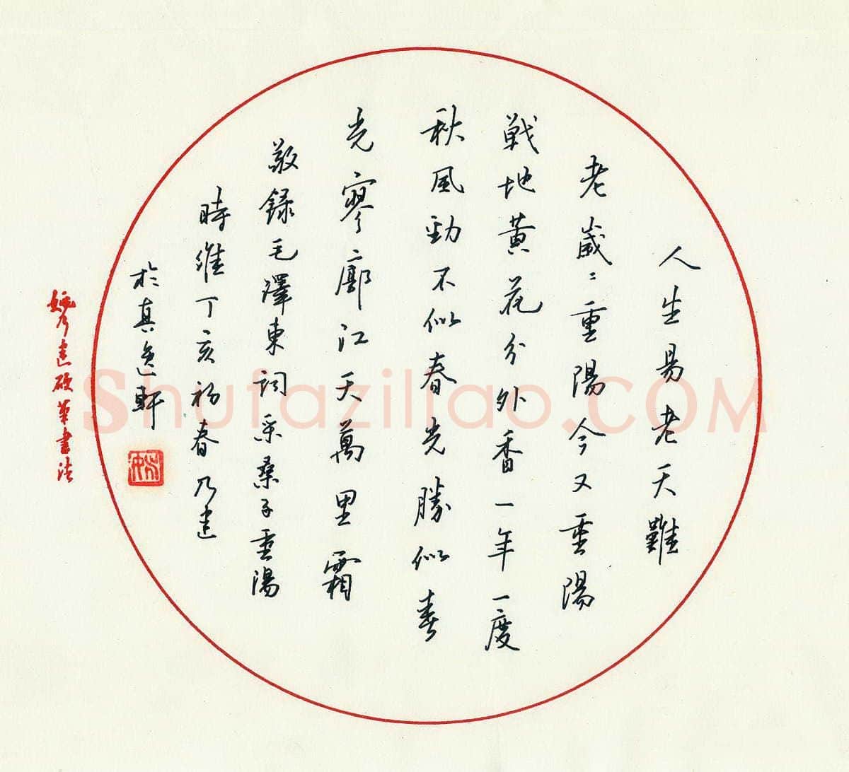 姚乃建硬笔行书毛泽东诗采桑子重阳一首,姚乃建硬笔书法作品