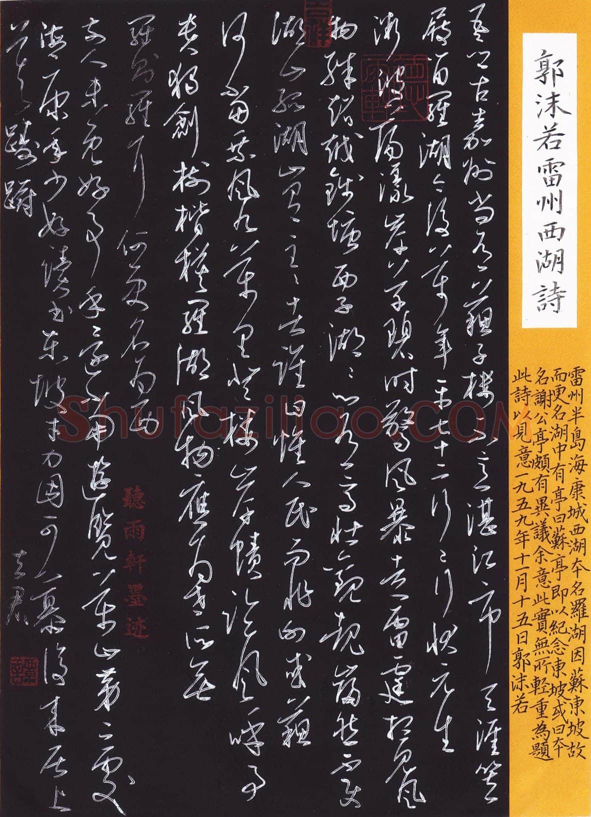 谭立军硬笔行草郭沫若雷州西湖诗,硬笔书法作品