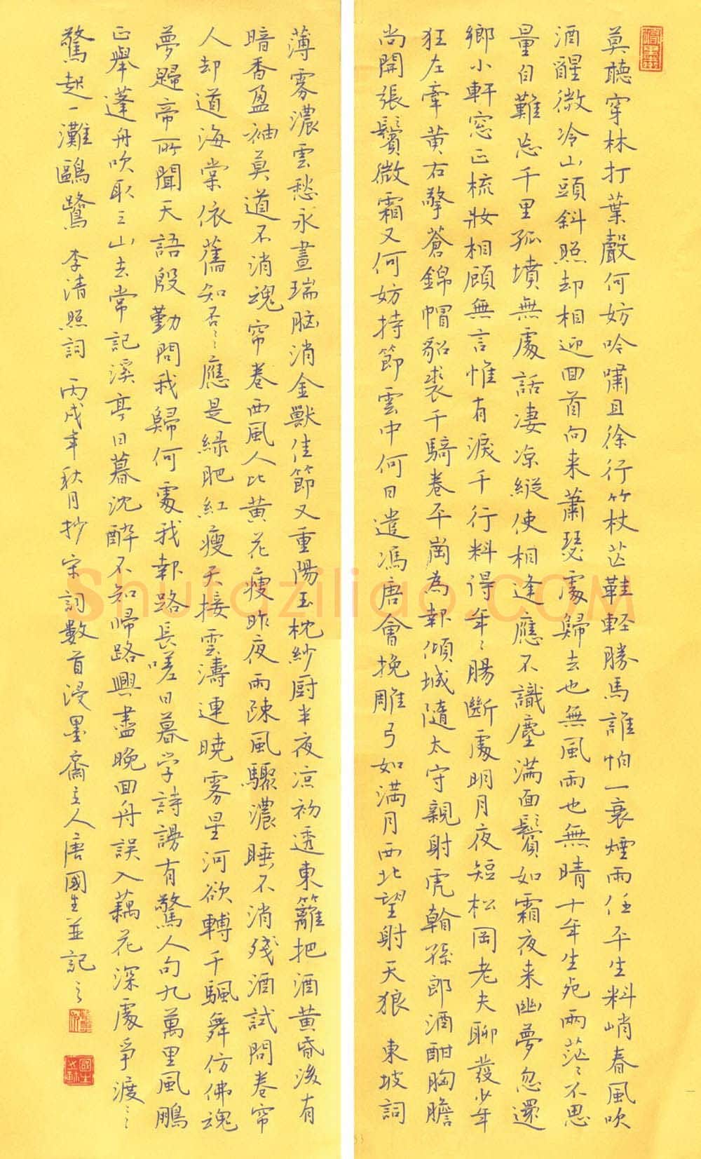 唐国生硬笔楷书宋词,唐国生硬笔书法作品