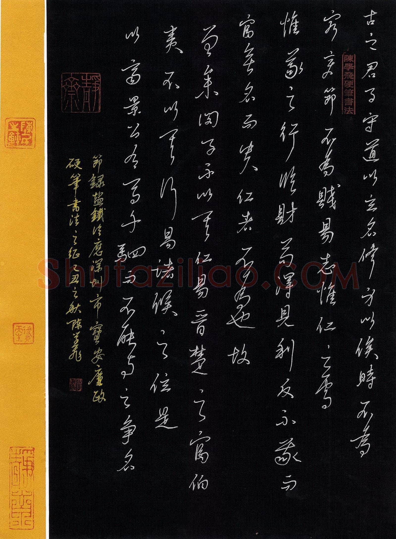 陈学飞硬笔行书节录盐铁论,硬笔书法作品