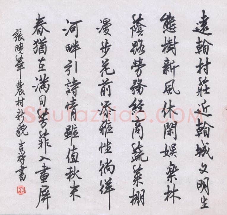 张吉祥硬笔行书张晓华农村新貌,张吉祥硬笔书法作品