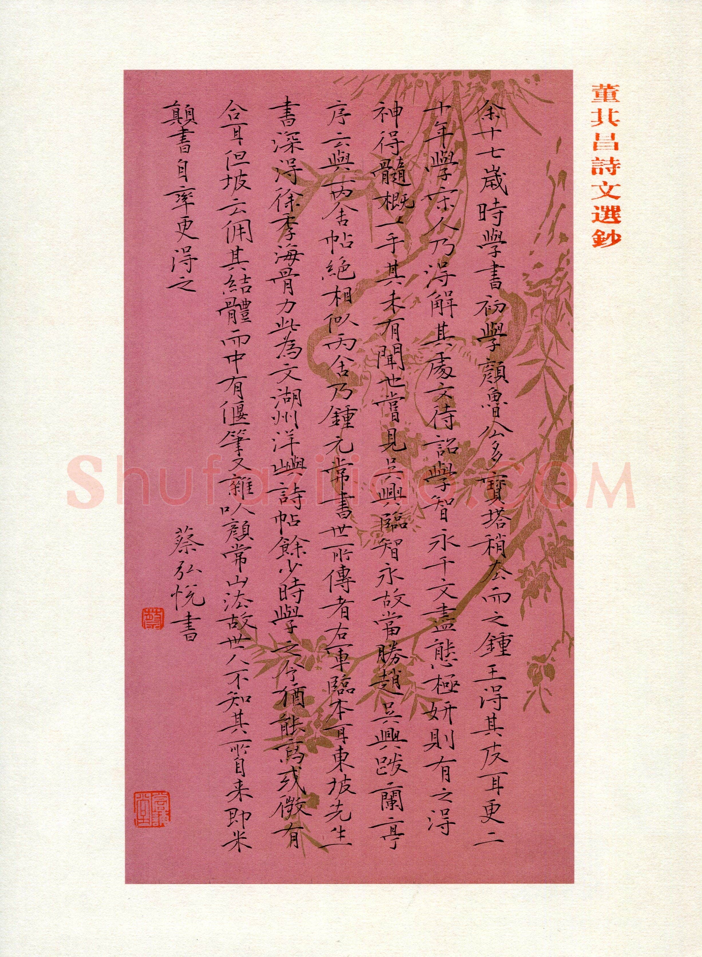 蔡弘悦(少儿组 14岁 特等奖)硬笔书法大赛获奖作品,蔡弘悦硬笔书法作品