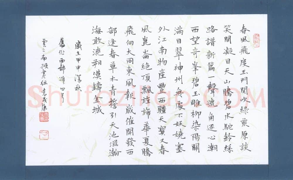 袁茂康硬笔楷书西部颂,袁茂康硬笔书法作品