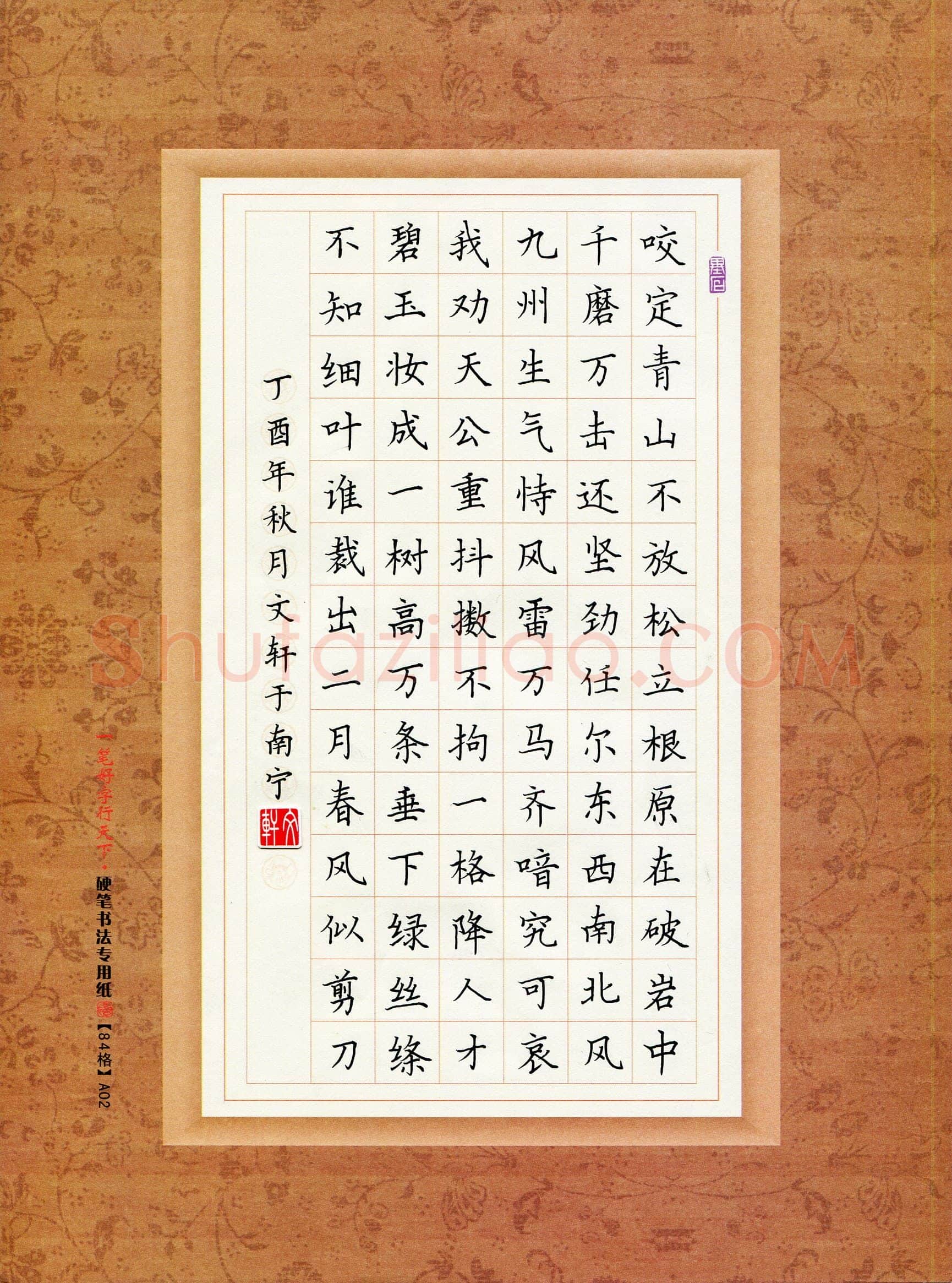 钟文轩(少儿组 11岁 银奖)硬笔书法大赛获奖作品,钟文轩硬笔书法作品