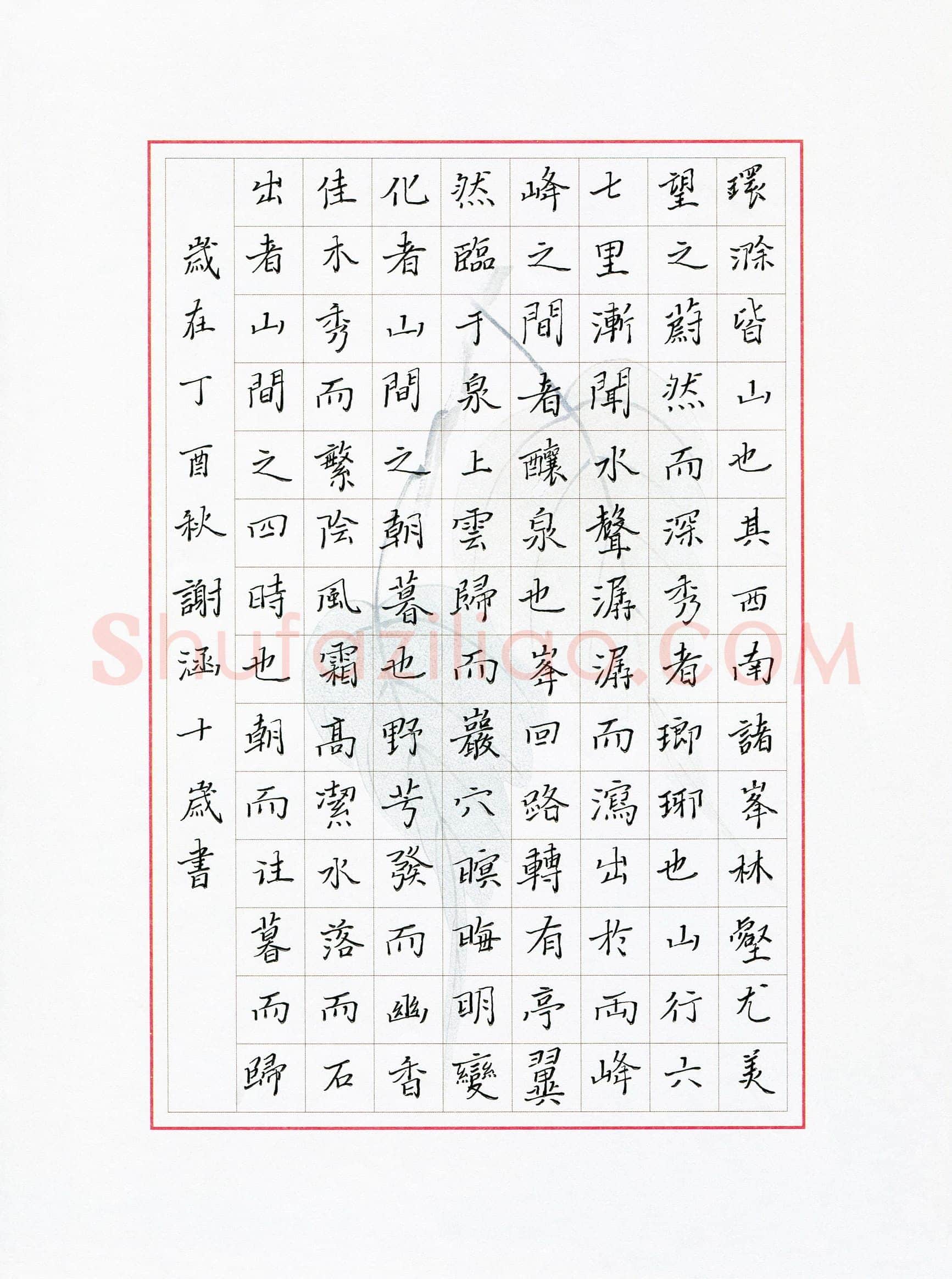 谢涵(少儿组 10岁 银奖)硬笔书法大赛获奖作品,谢涵硬笔书法作品
