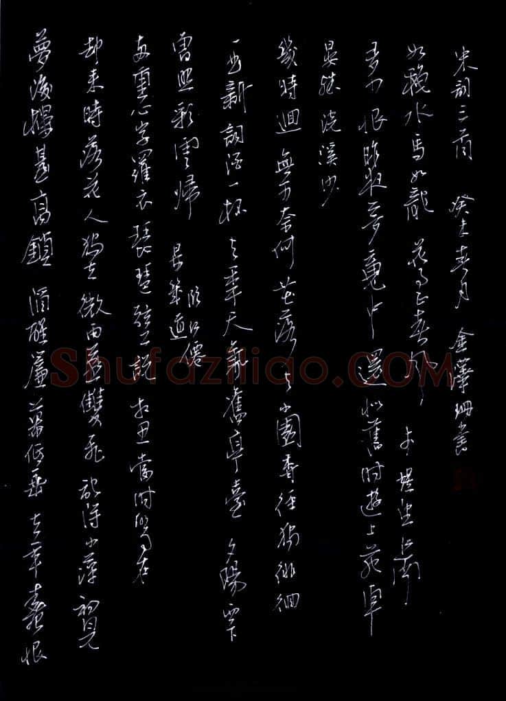 金泽珊硬笔行草宋词三首,金泽珊硬笔书法作品