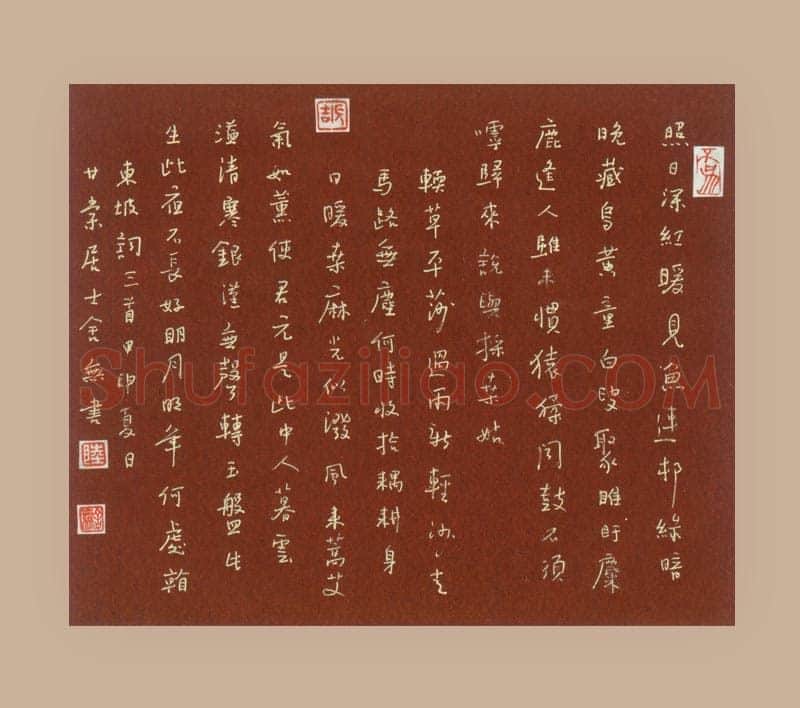 陆舍无硬笔行书东坡词三首,陆舍无硬笔书法作品