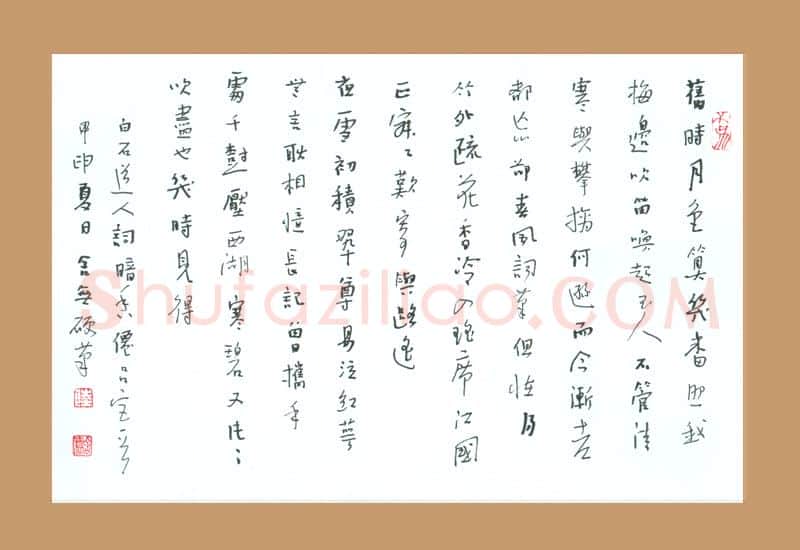 陆舍无硬笔行书白石道人词,陆舍无硬笔书法作品