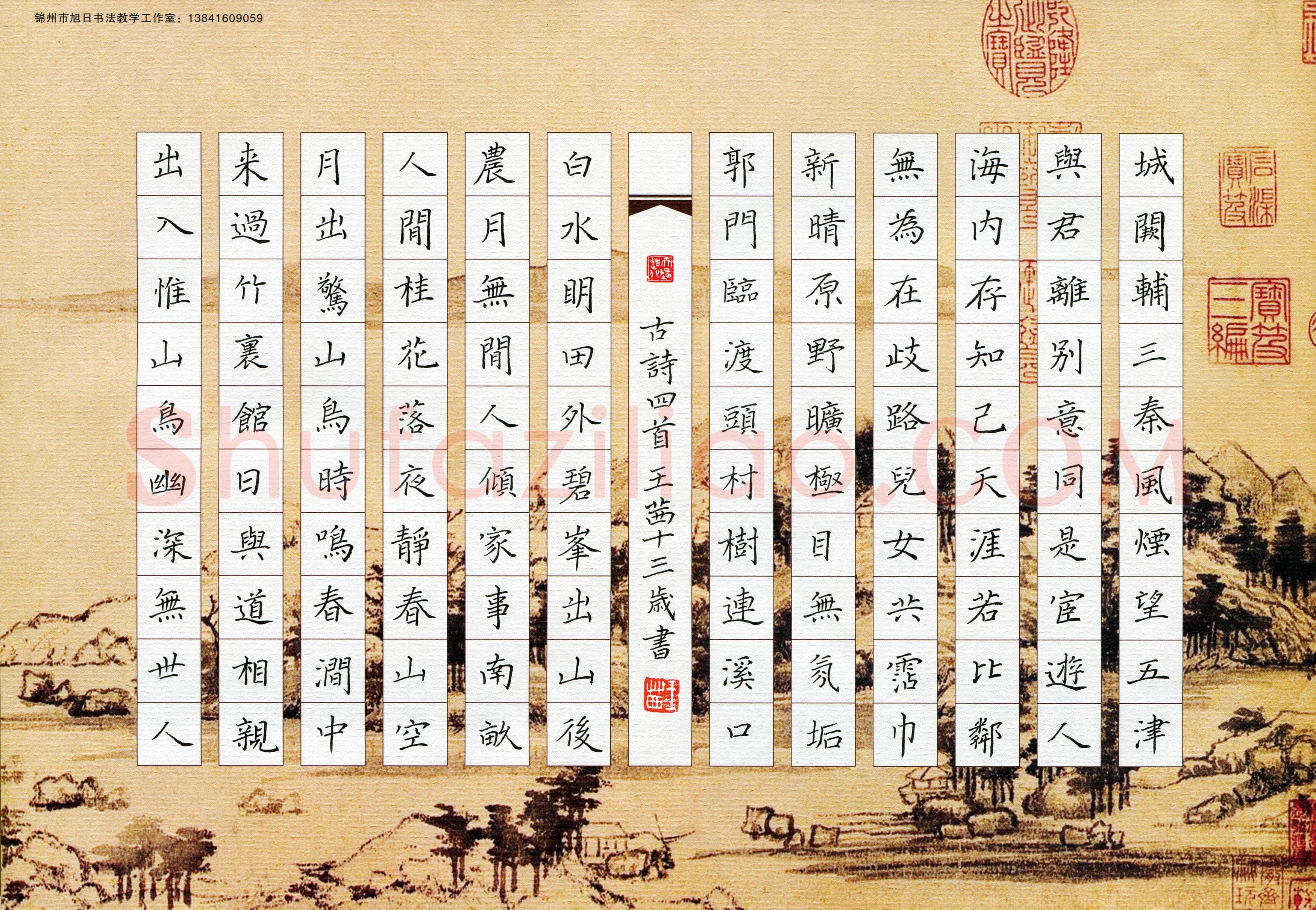 王茜(少儿组 13岁 银奖)硬笔书法大赛获奖作品,王茜硬笔书法作品