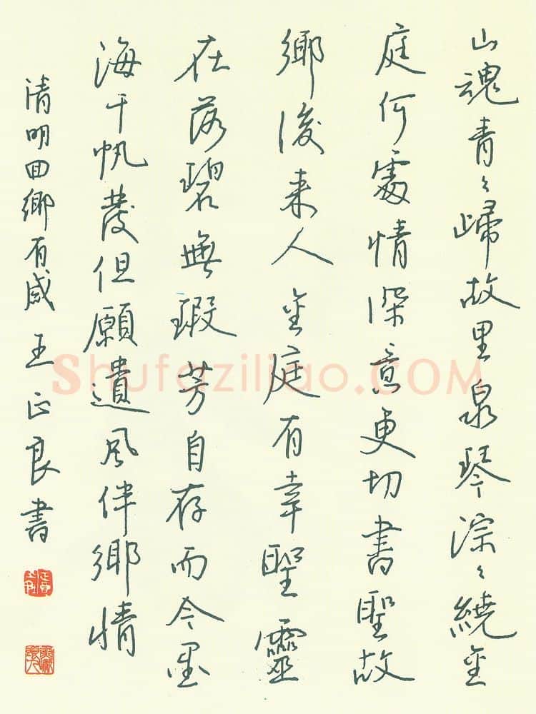 王正良硬笔行书清明回乡有感,王正良硬笔书法作品