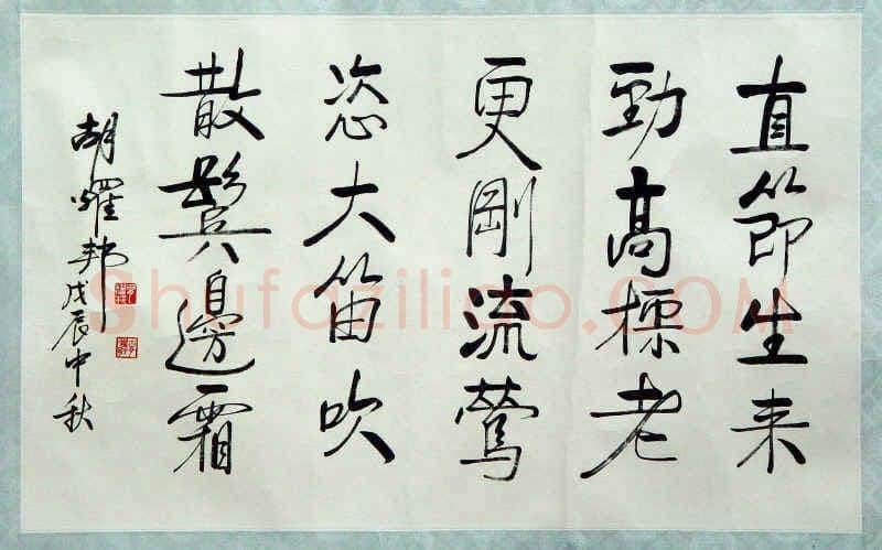 胡耀邦手迹,胡耀邦硬笔书法作品