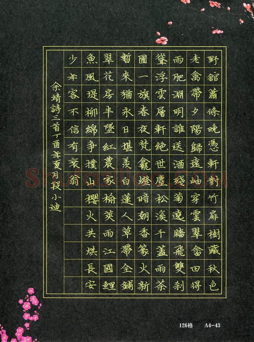 段小迪(少儿组 13岁 银奖)硬笔书法大赛获奖作品,段小迪硬笔书法作品