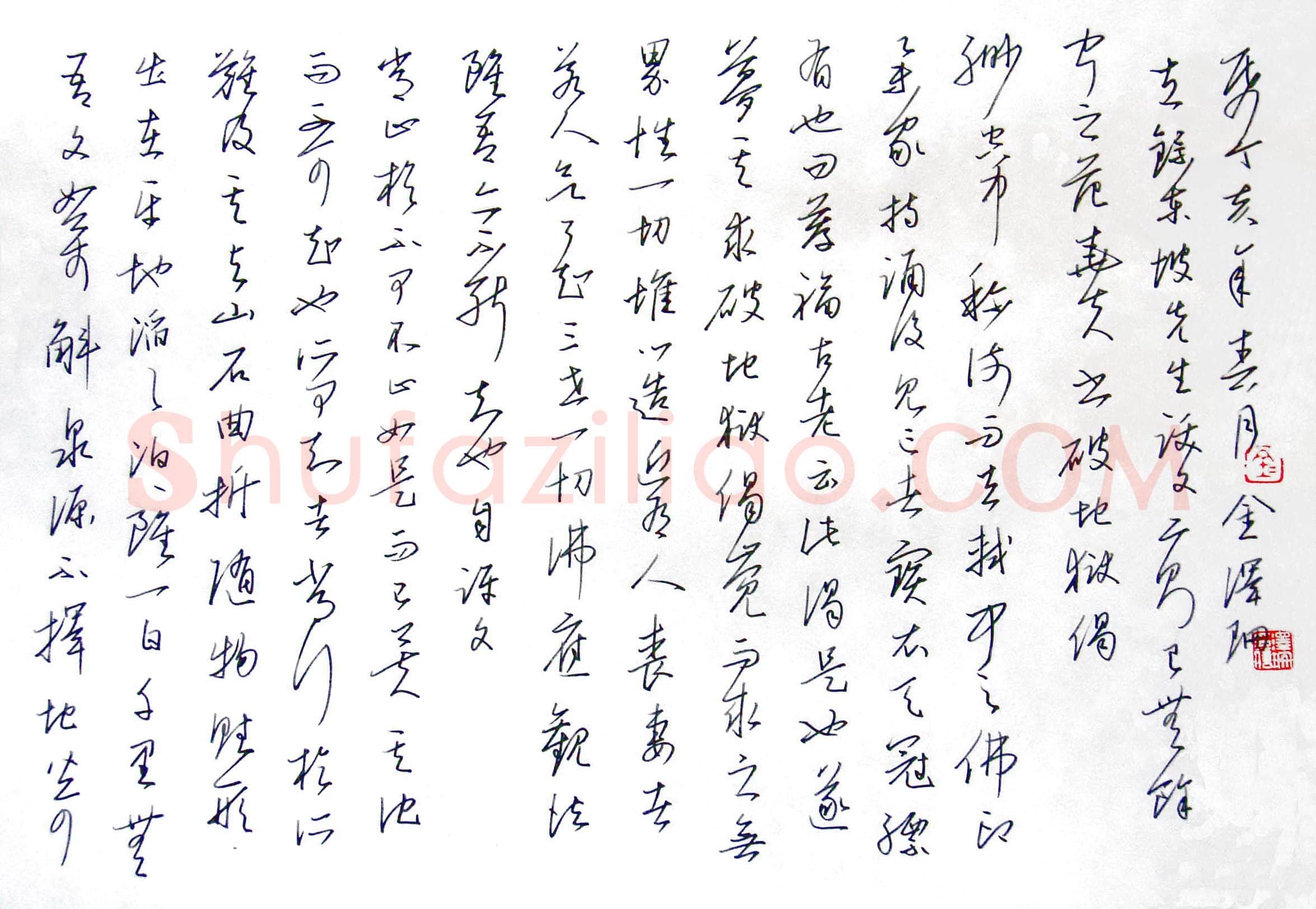 金泽珊硬笔行草东坡跋文二则,金泽珊硬笔书法作品