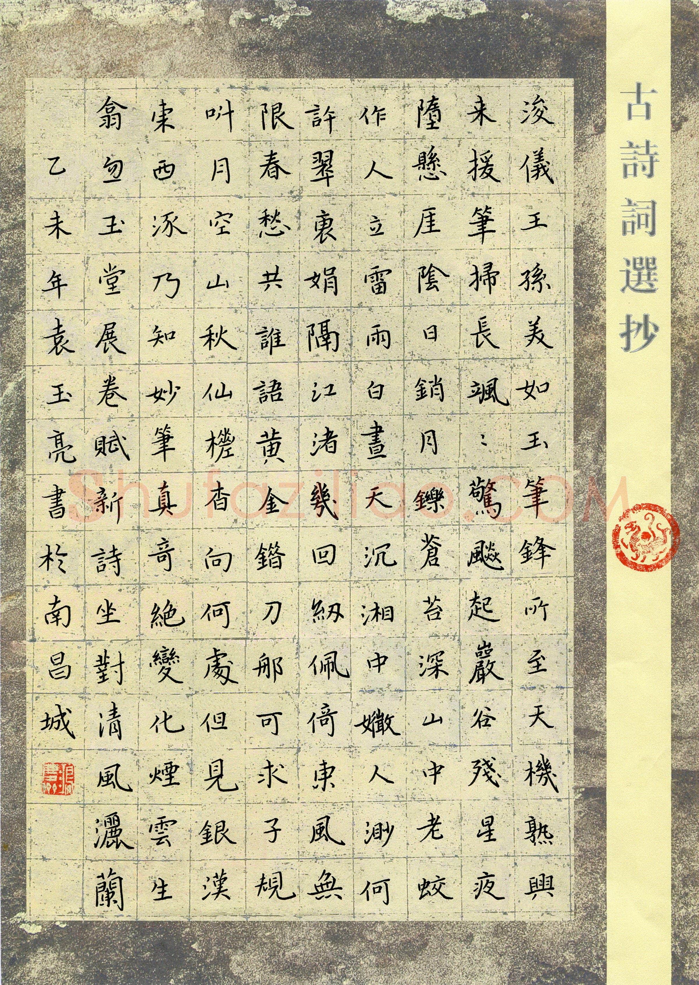 袁玉亮(少儿组 13岁 银奖)硬笔书法大赛获奖作品,袁玉亮硬笔书法作品