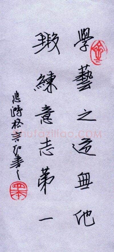 任定红硬笔行书人生格言,任定红硬笔书法作品