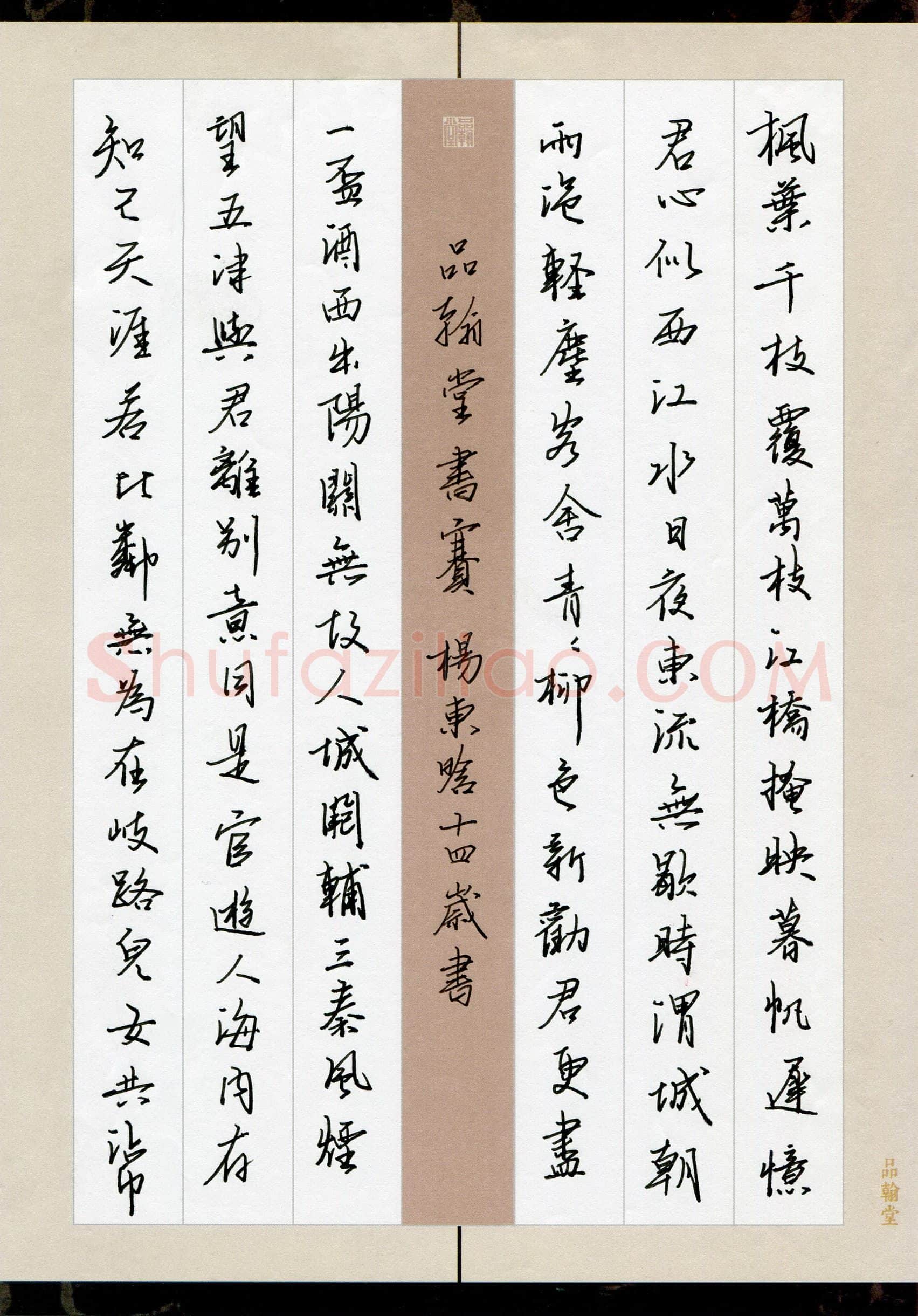 杨东晗(少儿组 14岁)硬笔书法大赛入围作品选登,杨东晗硬笔书法作品