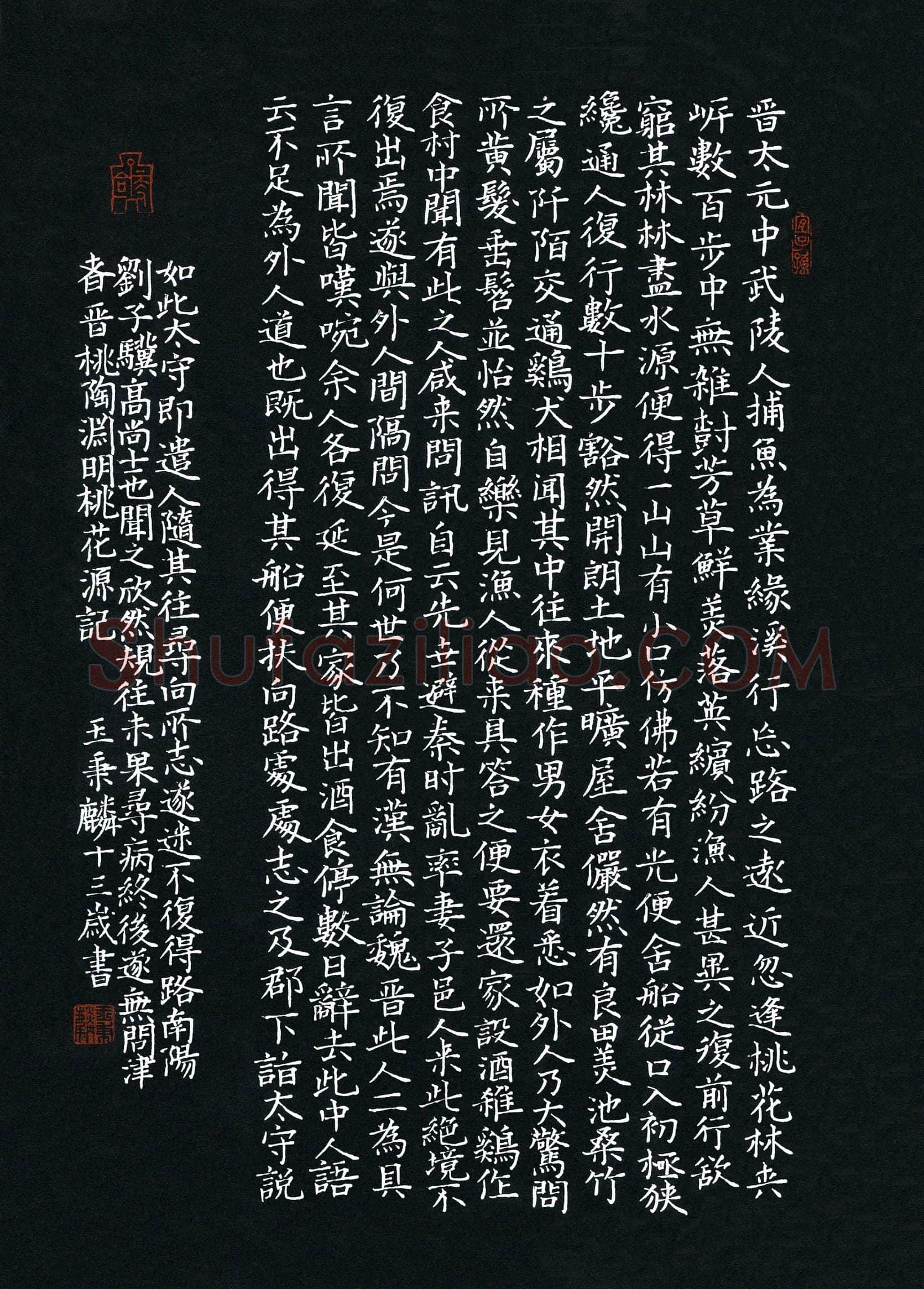 玉秉麟(少儿组 13岁)硬笔书法大赛入围作品选登,玉秉麟硬笔书法作品
