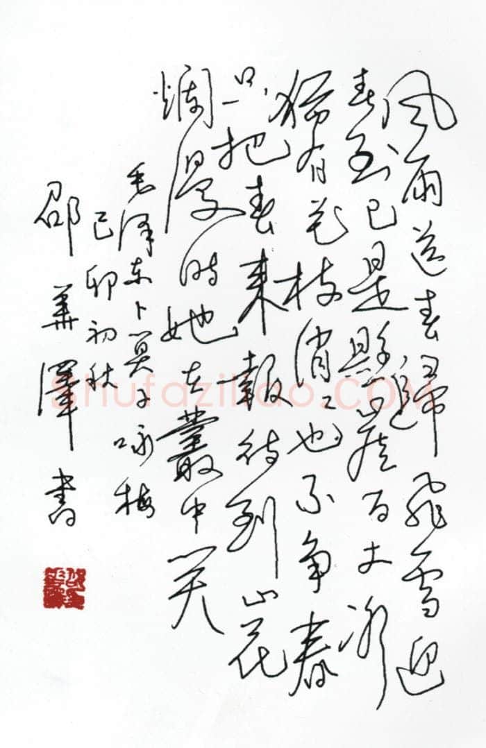 邵华泽手迹,邵华泽硬笔书法作品