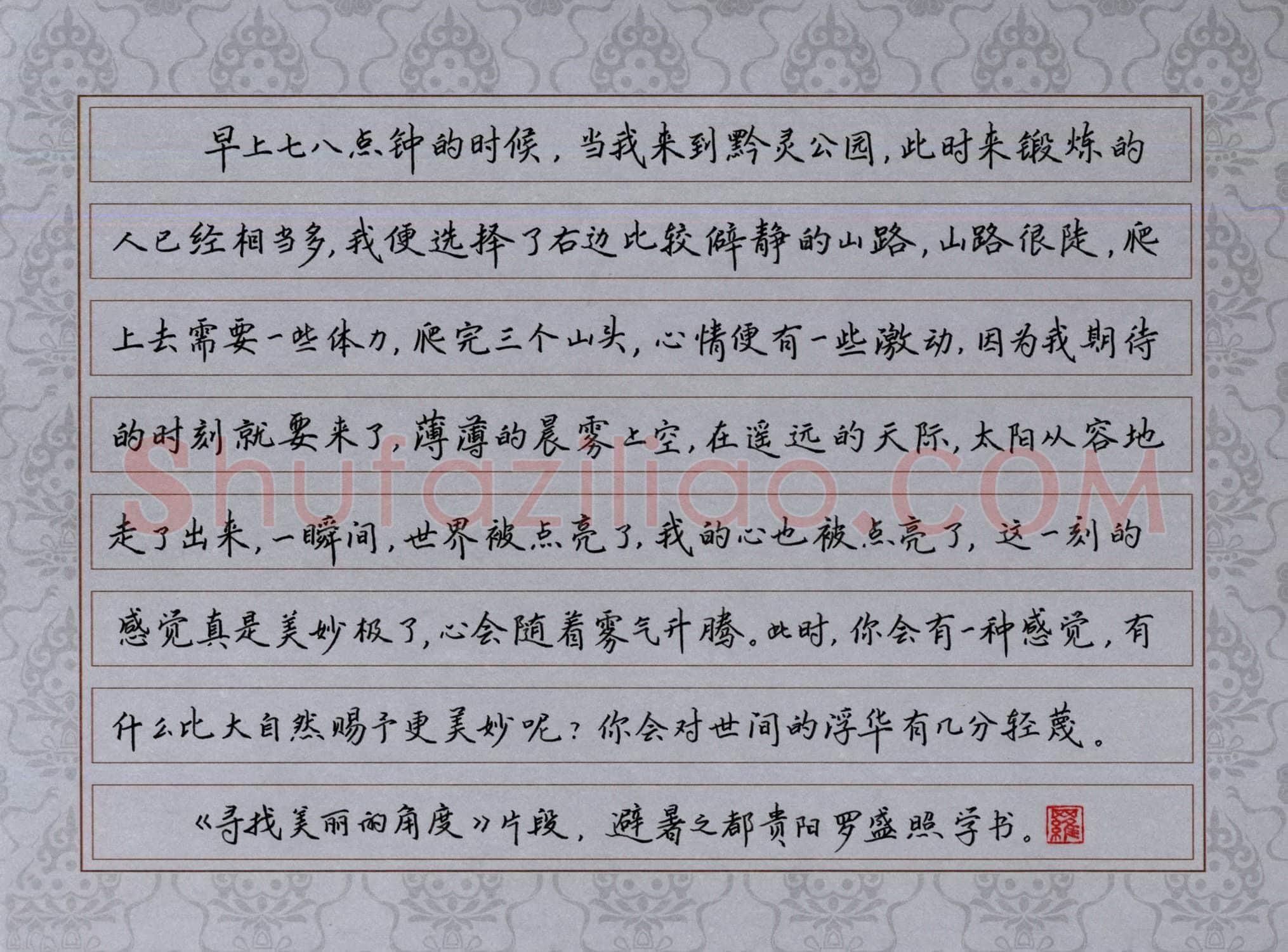 罗盛照硬笔楷书寻找美丽的角度,罗盛照硬笔书法作品