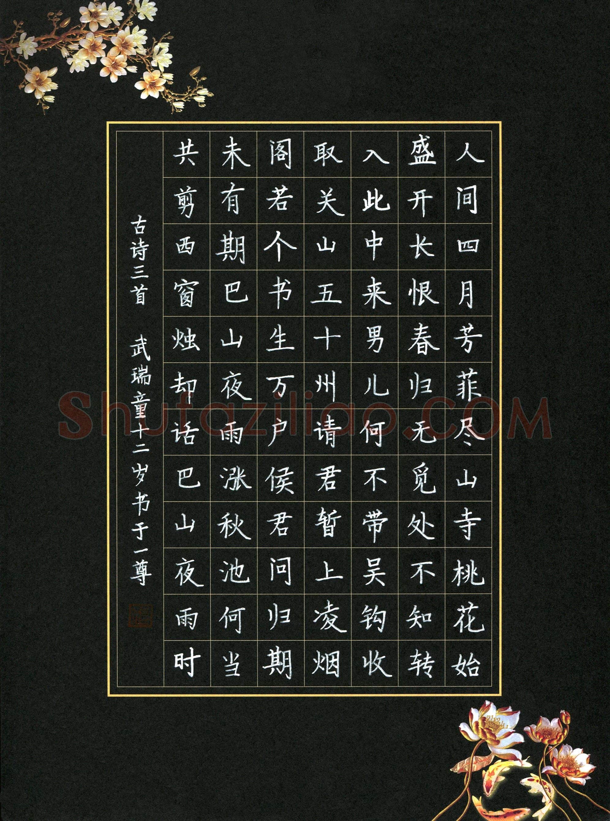 武瑞童(少儿组 12岁)硬笔书法大赛入围作品选登,武瑞童硬笔书法作品
